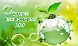 World Environment Day 2019 Messages, Wishes, Greetings, Slogan, Pictures & Images