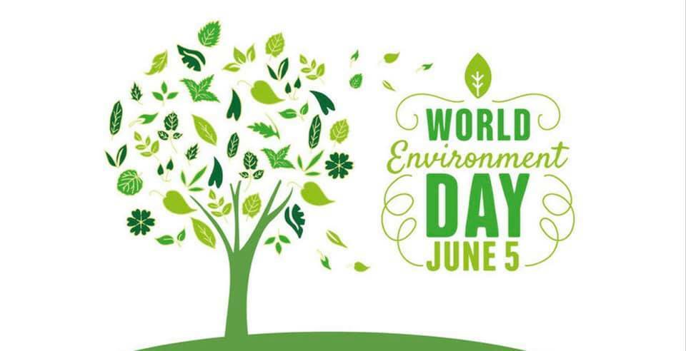 World Environment Day 2019 Messages, Wishes, Greetings, Slogan, Pictures & Images
