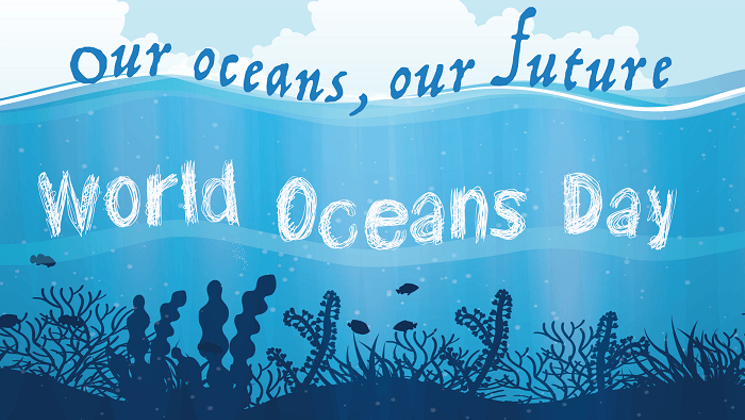 World Oceans Day 2019: Objective, Themes And Major Things to Know About the Condition of Our Oceans!