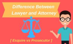 Attorney vs Lawyer: Key Differences Which You Must Know