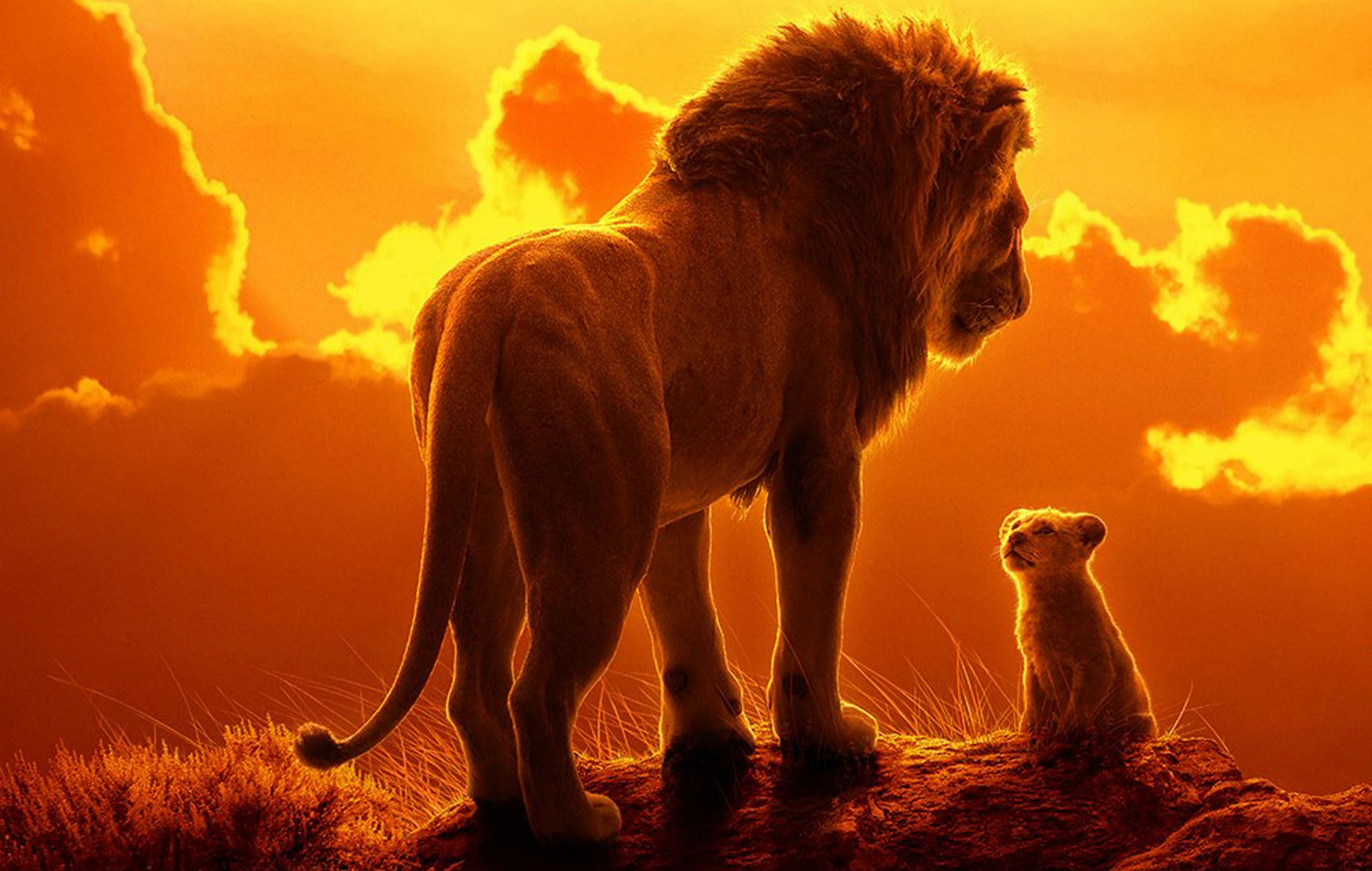 The Lion King (2019) Review: Is This Remake Of Classic Animated Film Worth Your Time?