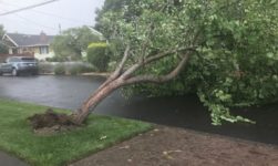 Tornado Touched Down In North Portland, NWS Confirms