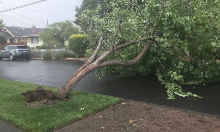 Tornado Touched Down In North Portland, NWS Confirms