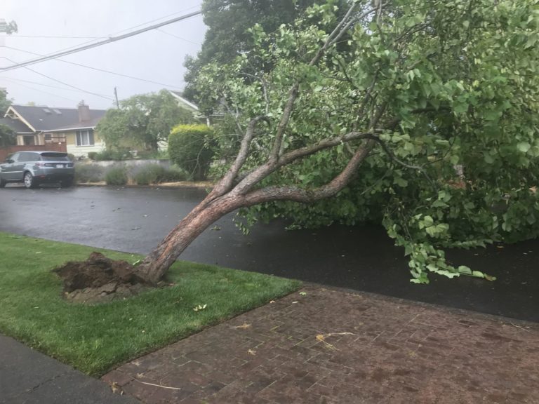 Tornado Touched Down In North Portland, NWS Confirms