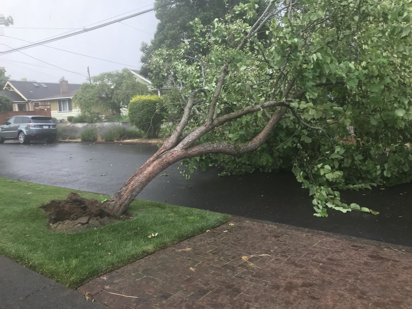 Tornado Touched Down In North Portland, NWS Confirms