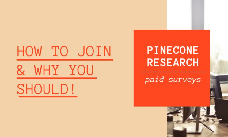 What Is Pinecone Research? Is It Genuine Or Fake? Here Is All You Need To Know!