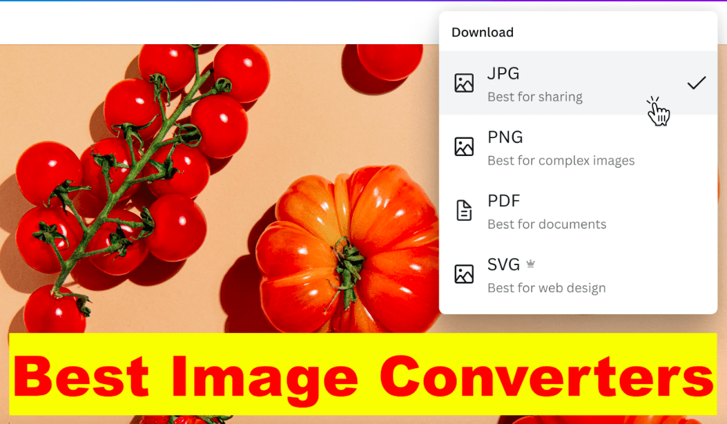 Best Image Converter