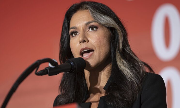 Tulsi Gabbard