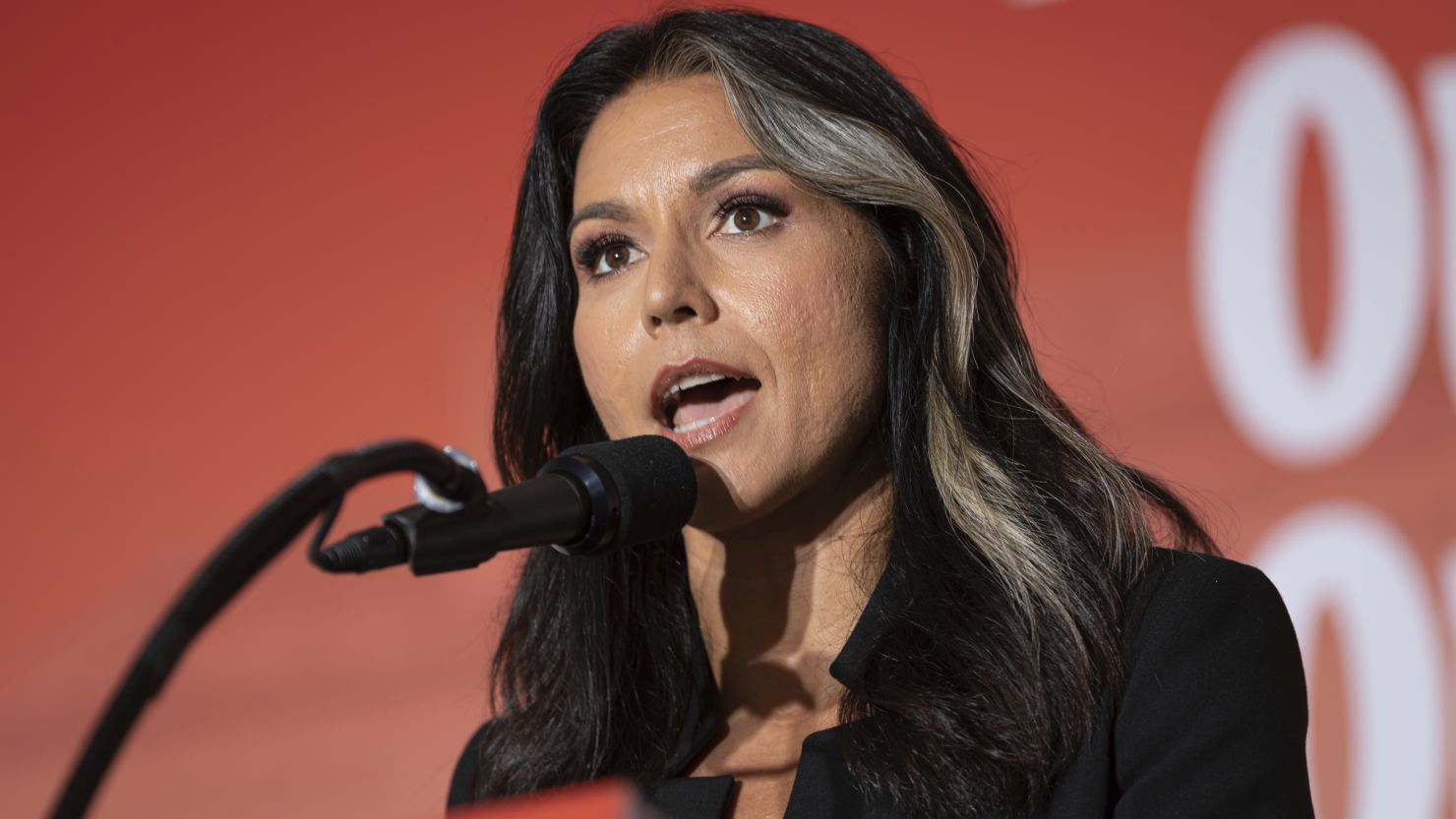 Tulsi Gabbard